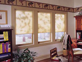 Pleated Shades