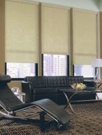 Easy Roller Shades
